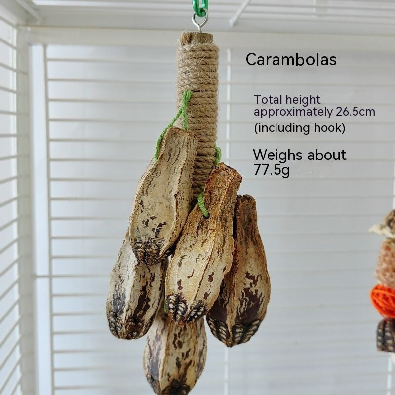 Parrot Toys Bird Cage