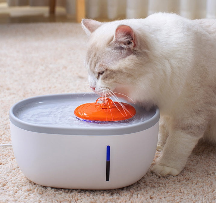 Pet Water Dispenser Drinking Bowl