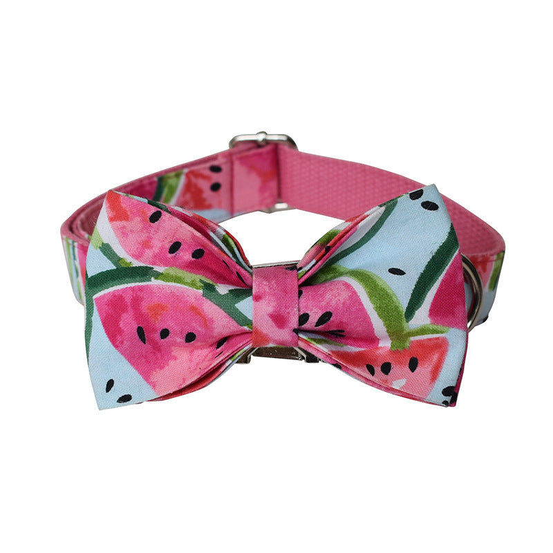 Pet Supplies Pet Leash