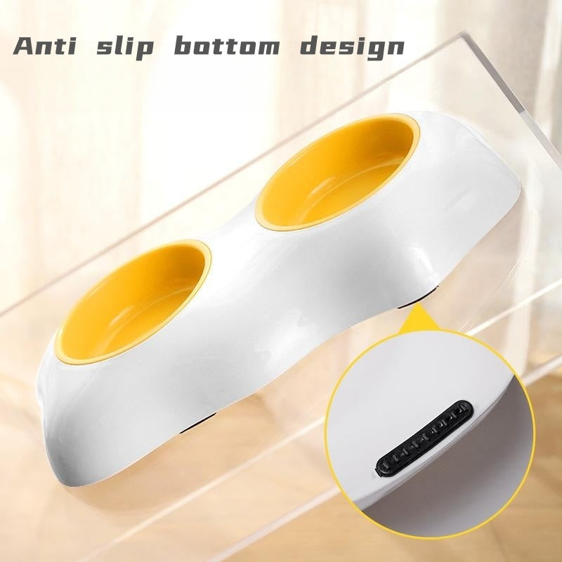 Pet Bowl Drinking Water