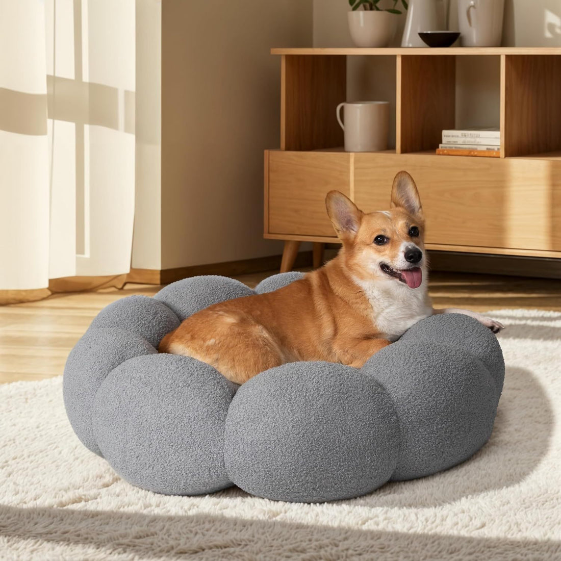 Cat Beds For Indoor Cats