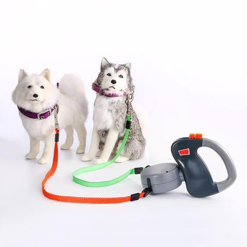 Pet Dog Walking Leash