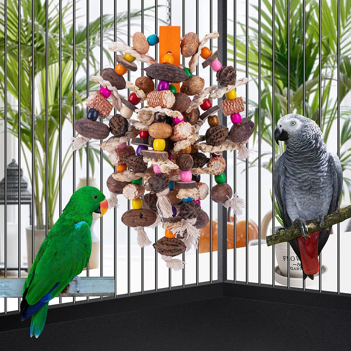 Large Parrots Nibbling Fruit Skewers
