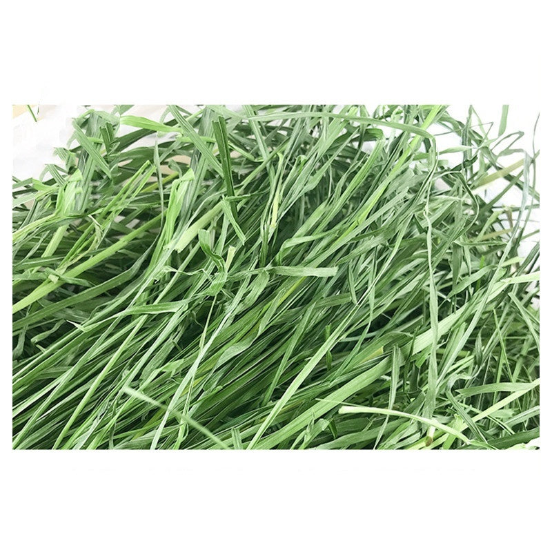 Pig Food Rabbits Pet Products