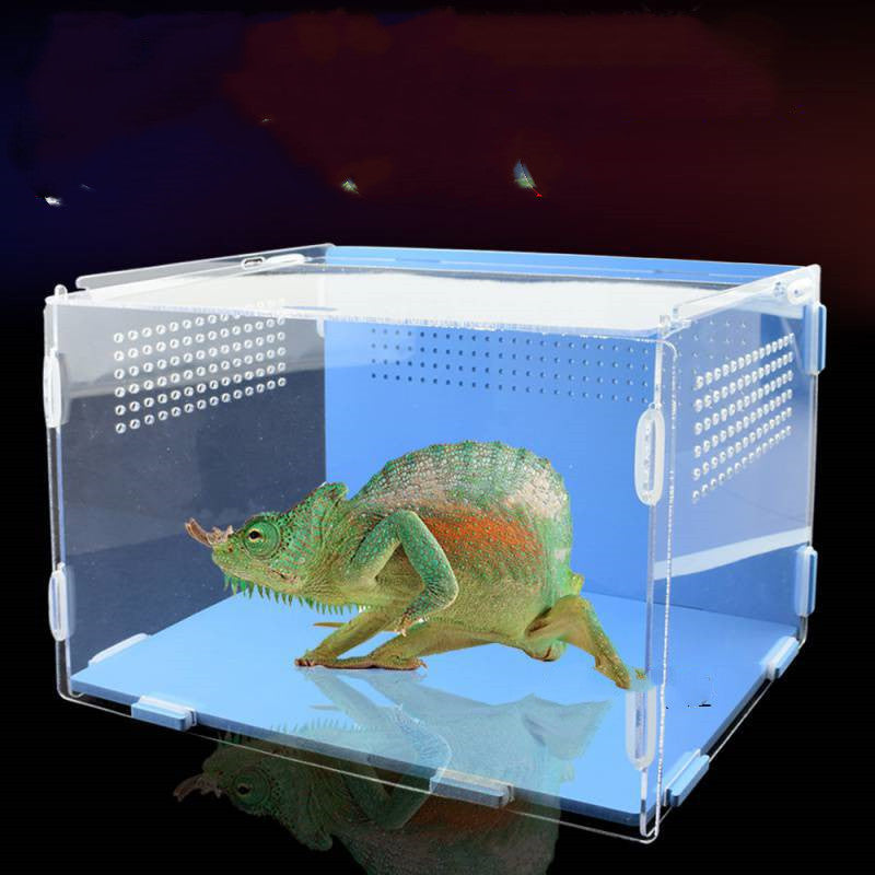 Reptile Tank Feeding Box