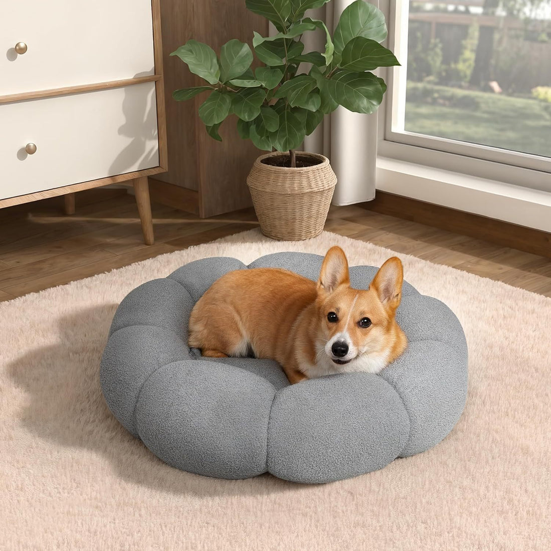 Cat Beds For Indoor Cats