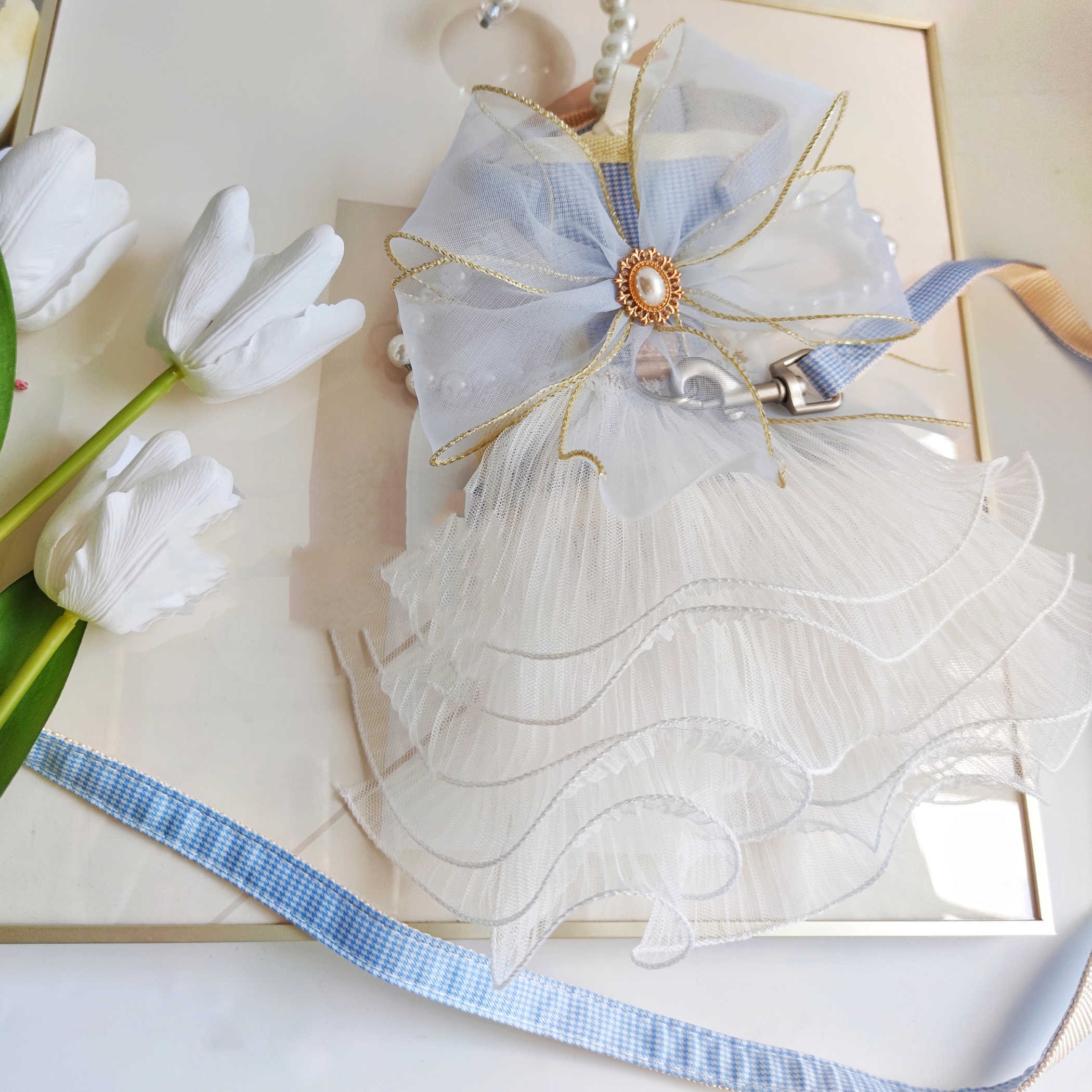 Pet Leash Cat And Puppy Universal