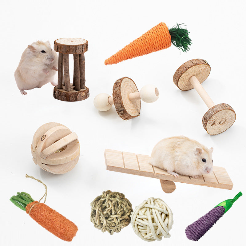 Guinea Pig Parrot Play Molars Set