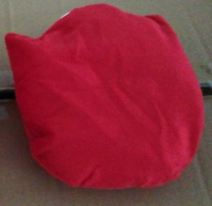 Guinea pig small pet chihuahua.