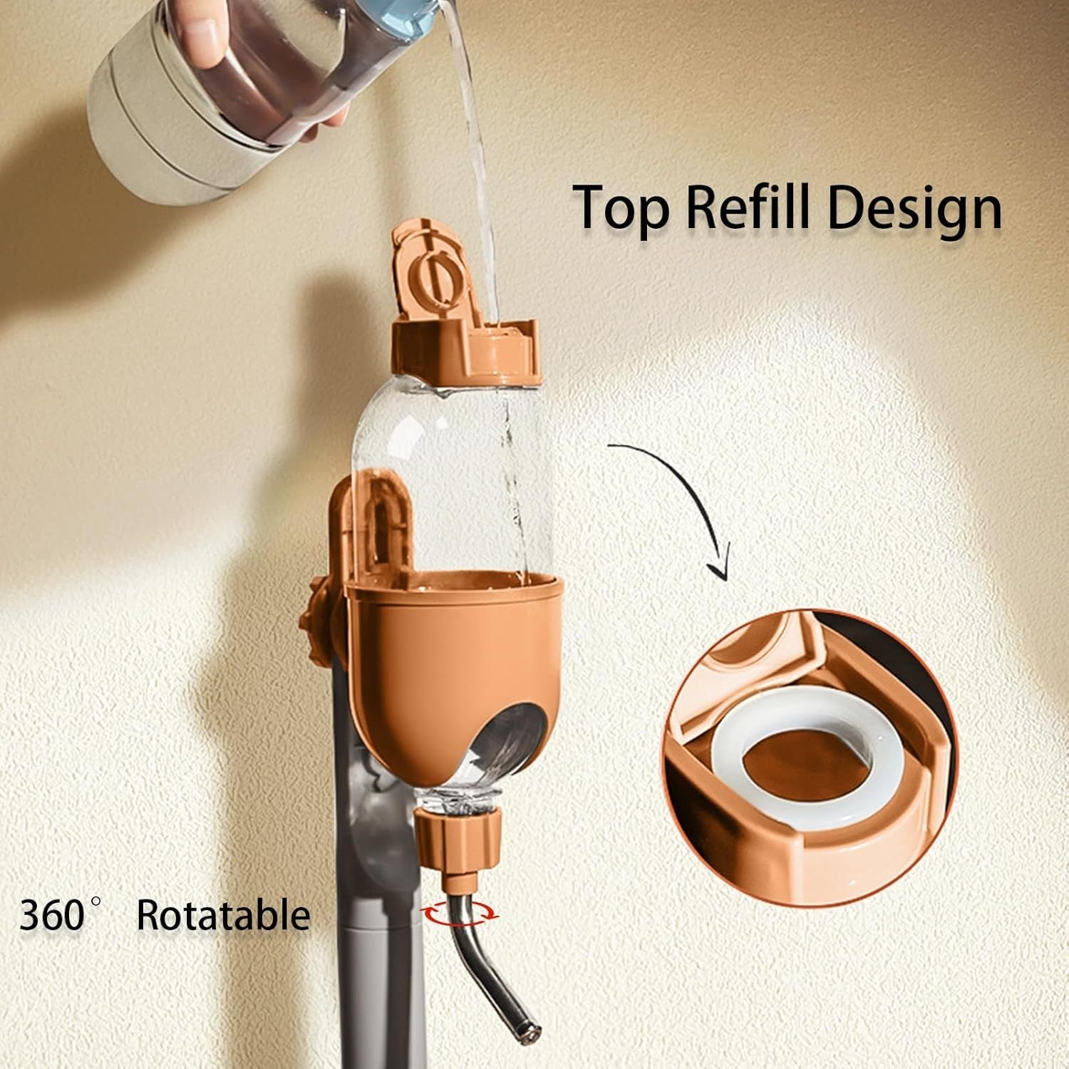 Rabbit Guinea Pig Chinchilla