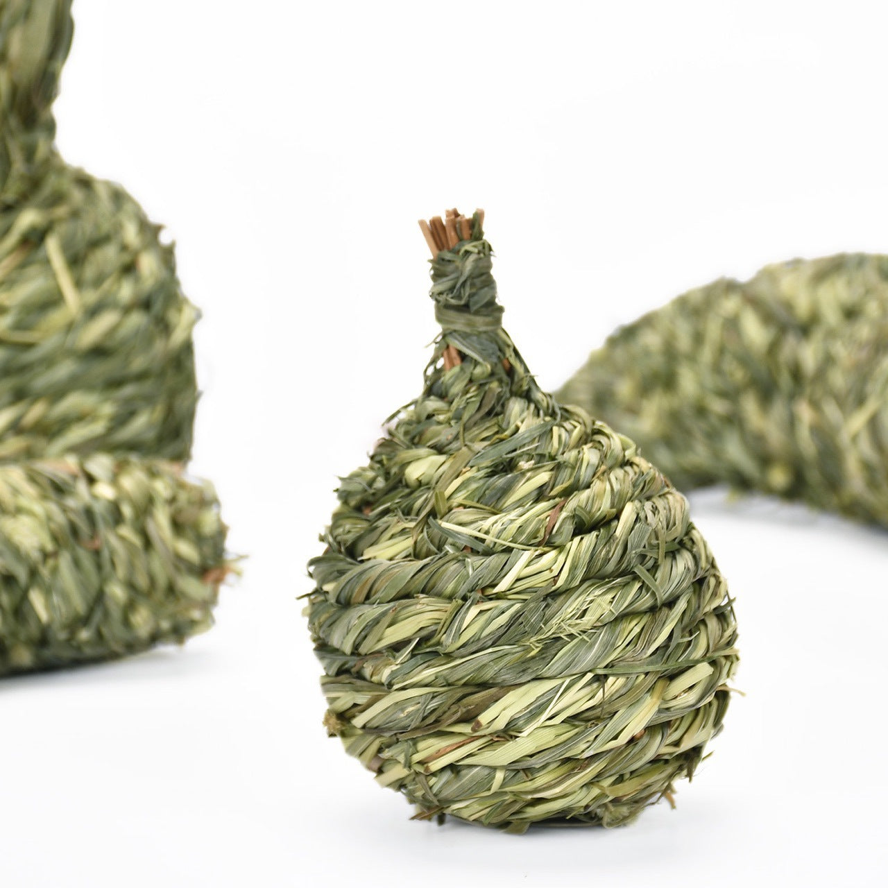 Totoro Guinea Pig Bite Molar Snacks