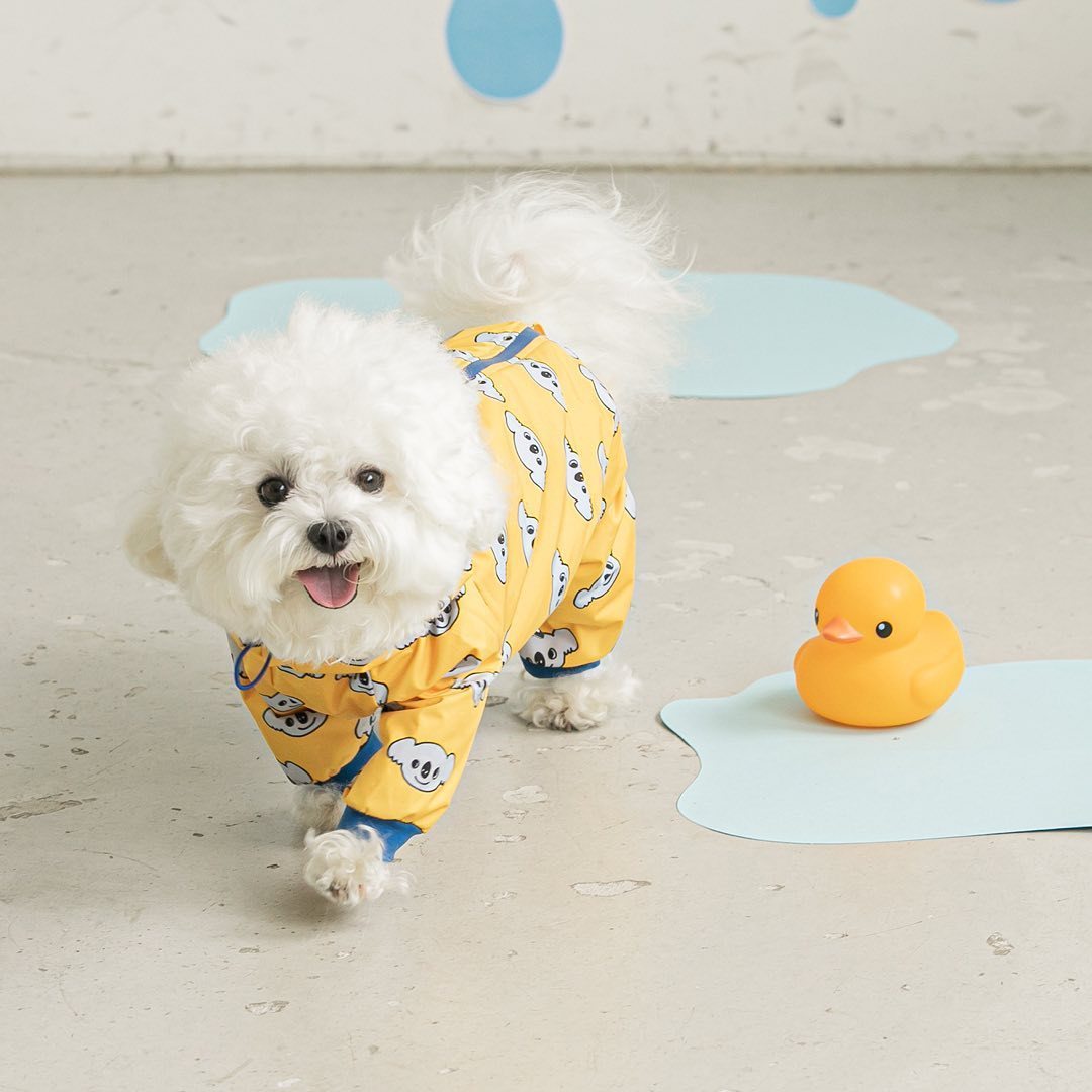 Fashion Pet Dog Waterproof Raincoat