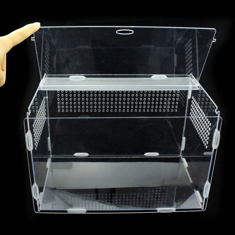 Reptile Tank Feeding Box