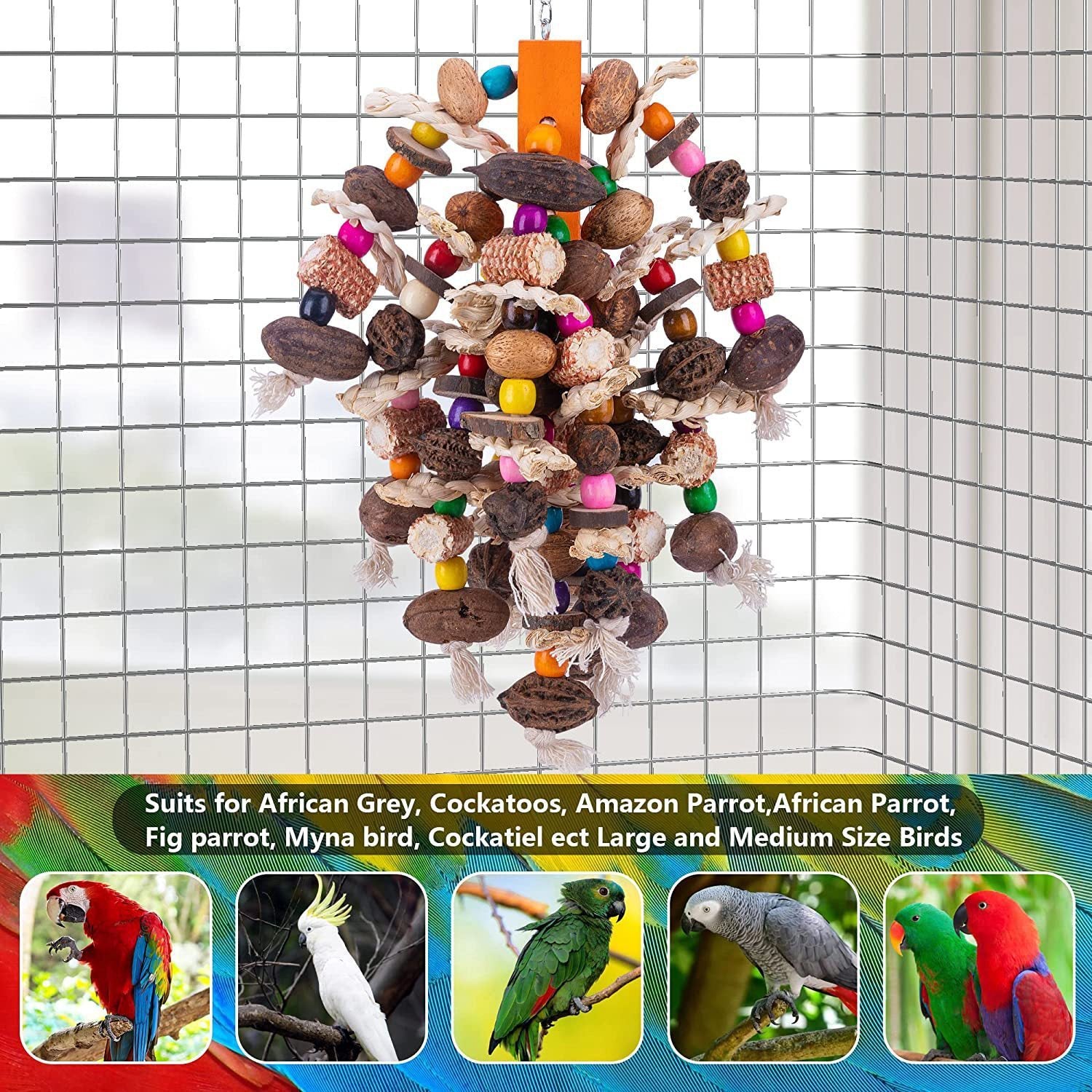 Large Parrots Nibbling Fruit Skewers
