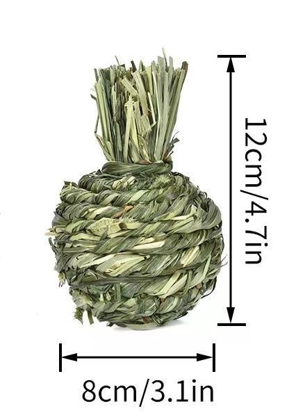 Totoro Guinea Pig Bite Molar Snacks