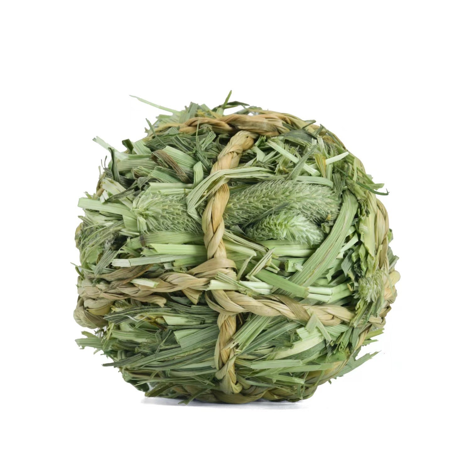 Totoro Guinea Pig Simulated Grass