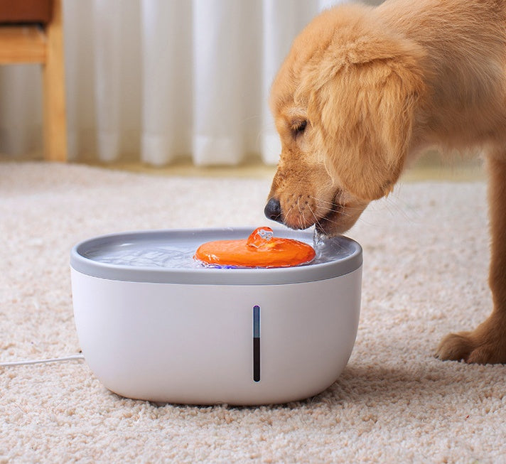 Pet Water Dispenser Drinking Bowl