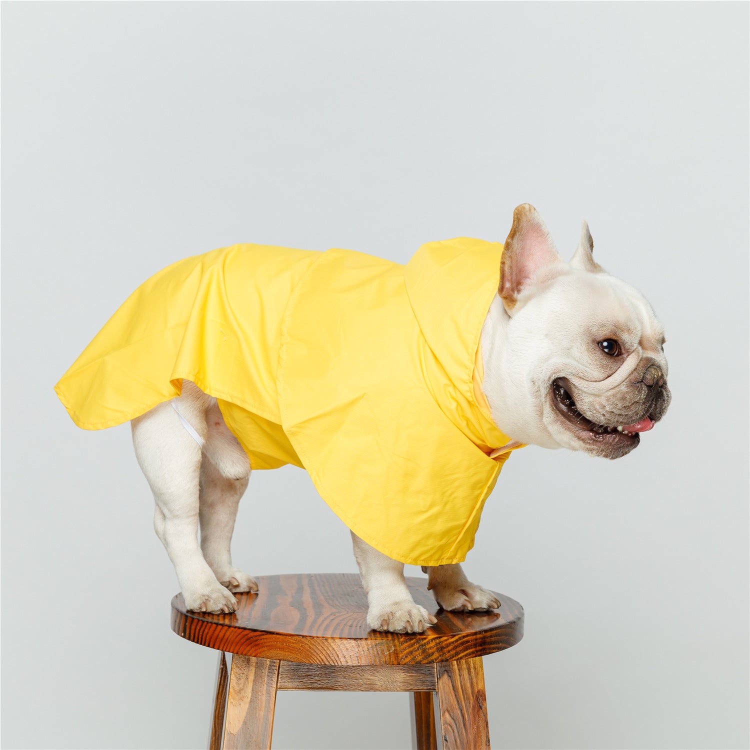Pet Dog Waterproof Raincoat