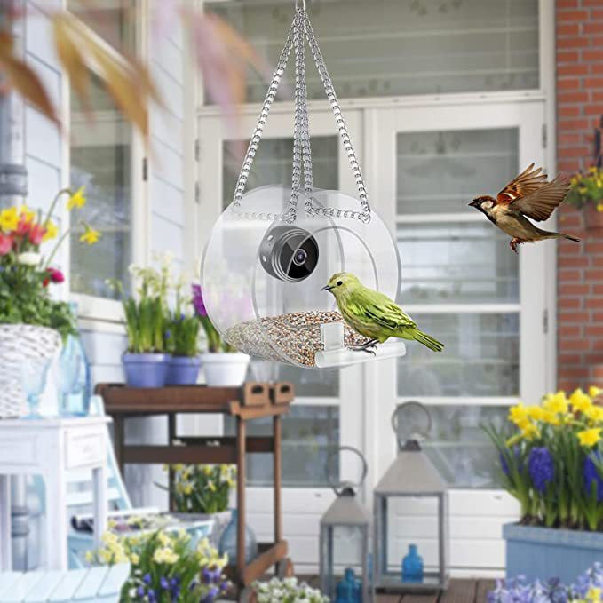 Pet Smart Feeder Outdoor