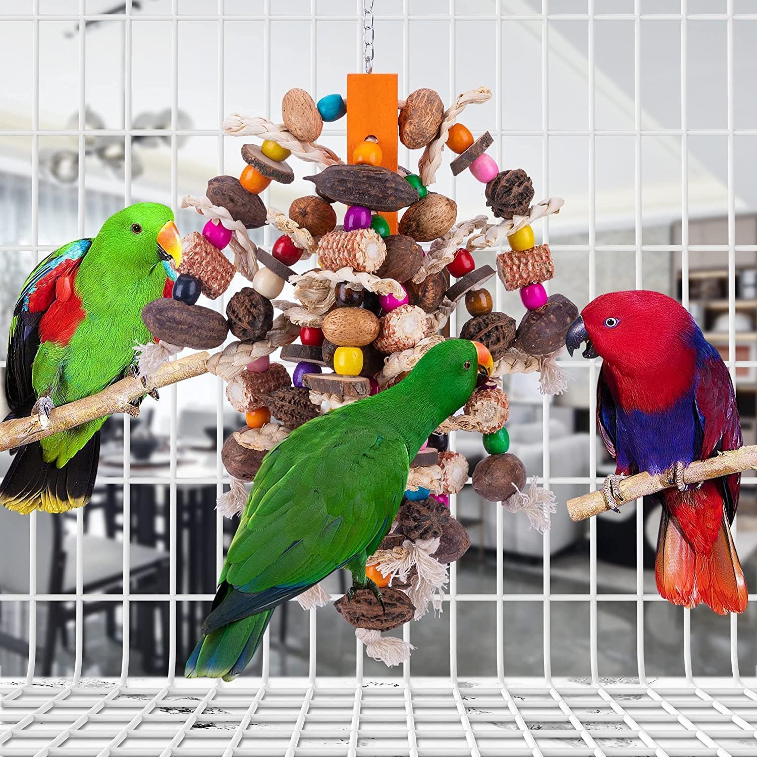 Large Parrots Nibbling Fruit Skewers