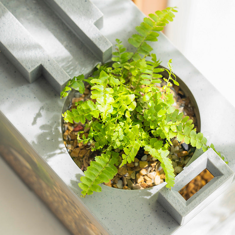 Micro Landscape Fish Tank