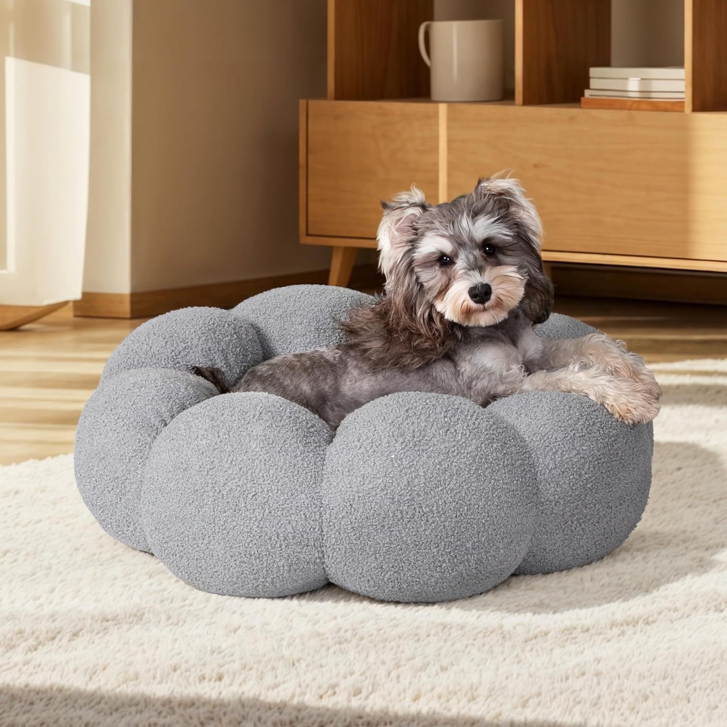 Cat Beds For Indoor Cats
