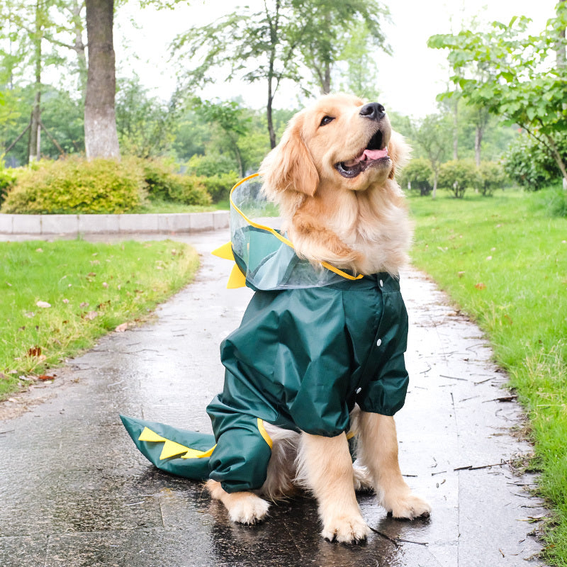 Raincoat Pet Transformation Suit