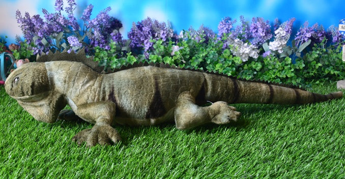 Lizard Chameleon Cotton Plush Toy