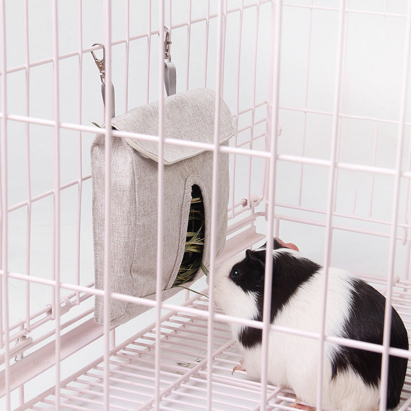 Rabbit Feeding Guinea Pig Hamster