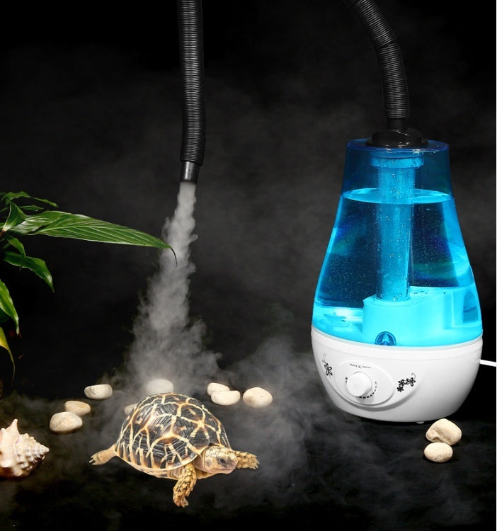 Euramerican British Reptile Box