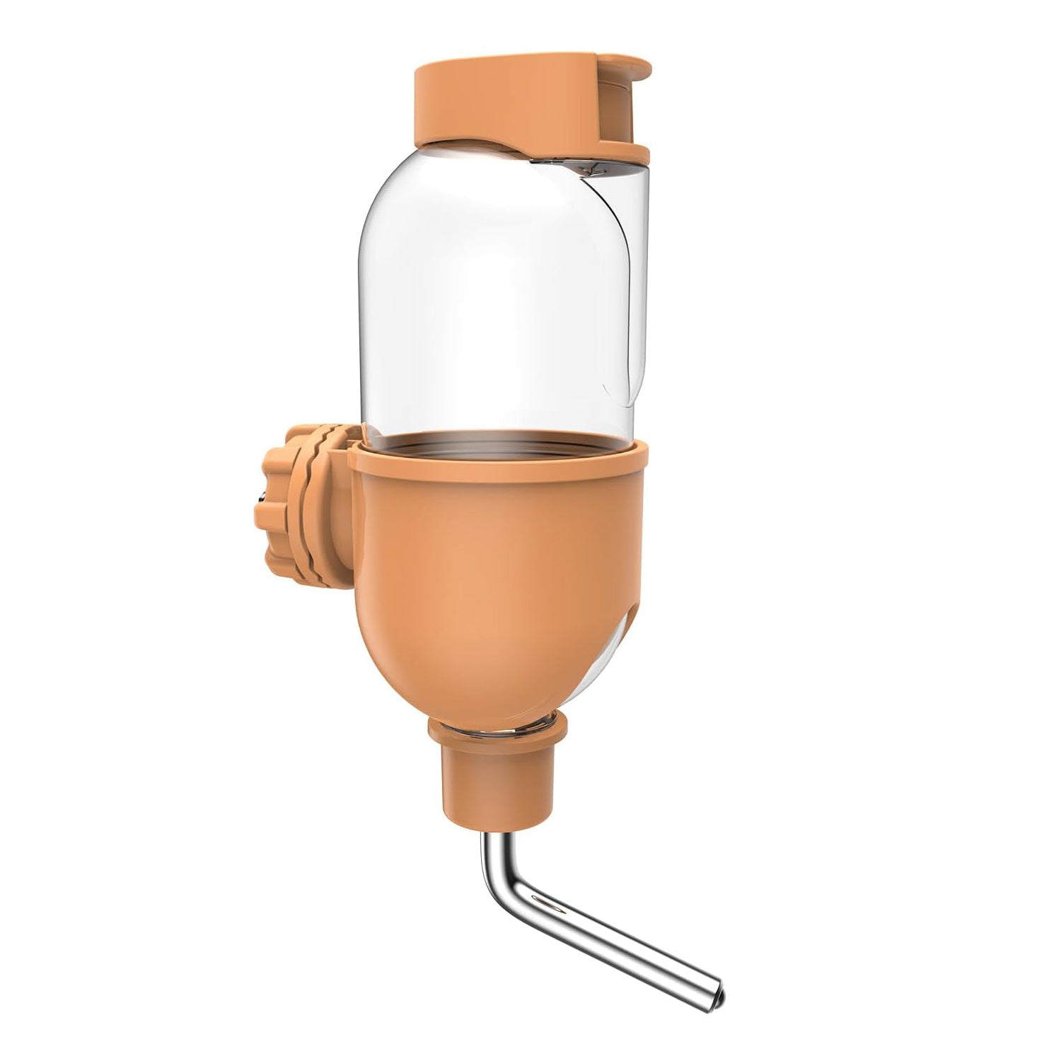 Rabbit Guinea Pig Chinchilla