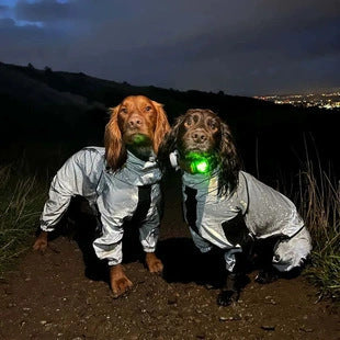 Pet Reflective Rainproof Raincoat