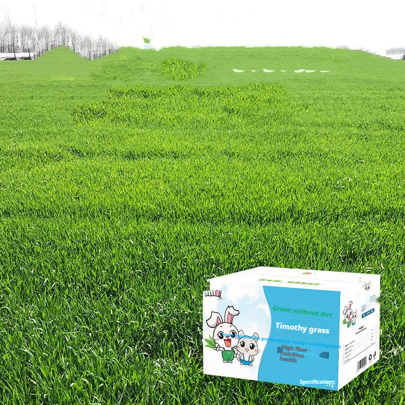 Pig Food Rabbits Pet Products