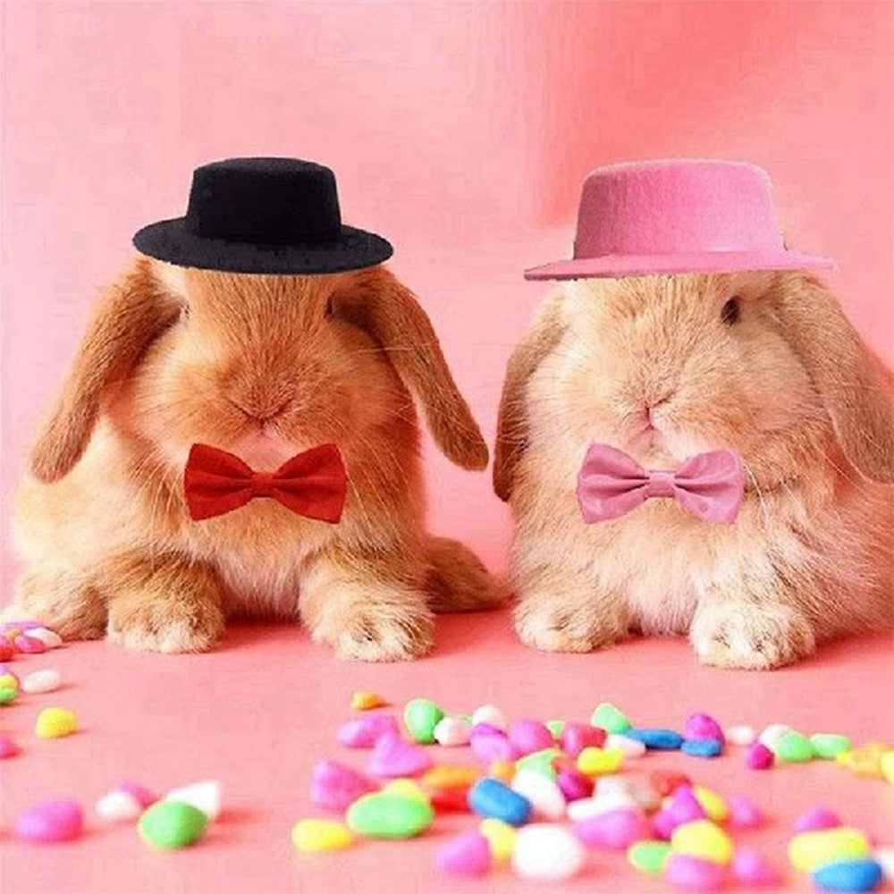 Rabbit Guinea Pig Hamster Totoro