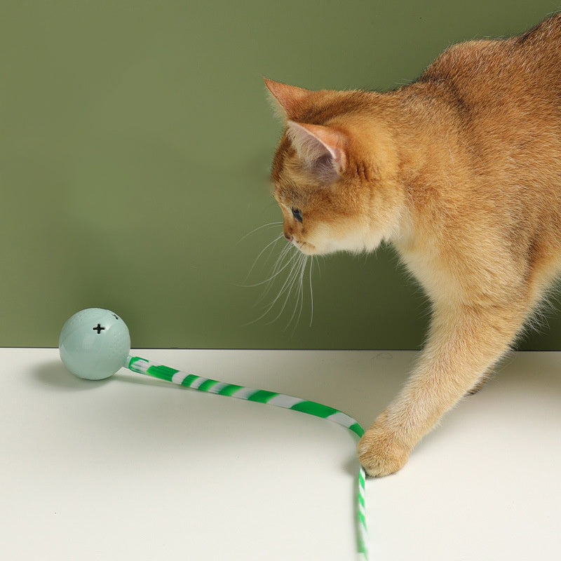 Cat Ball Toys Interactive Electric Balls