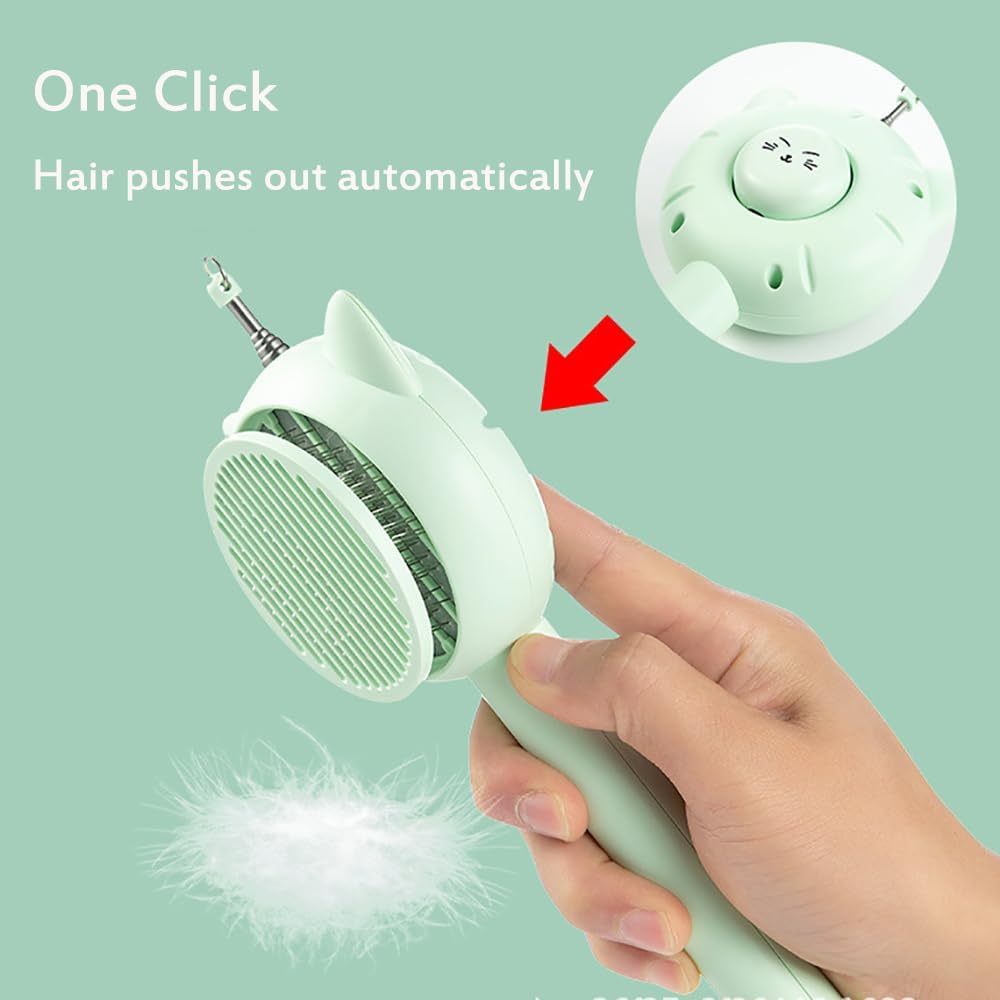 5-in-1 Interactive Cat Toys