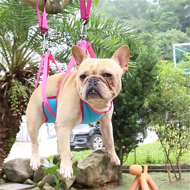 Pet Grooming Hammock For Cats