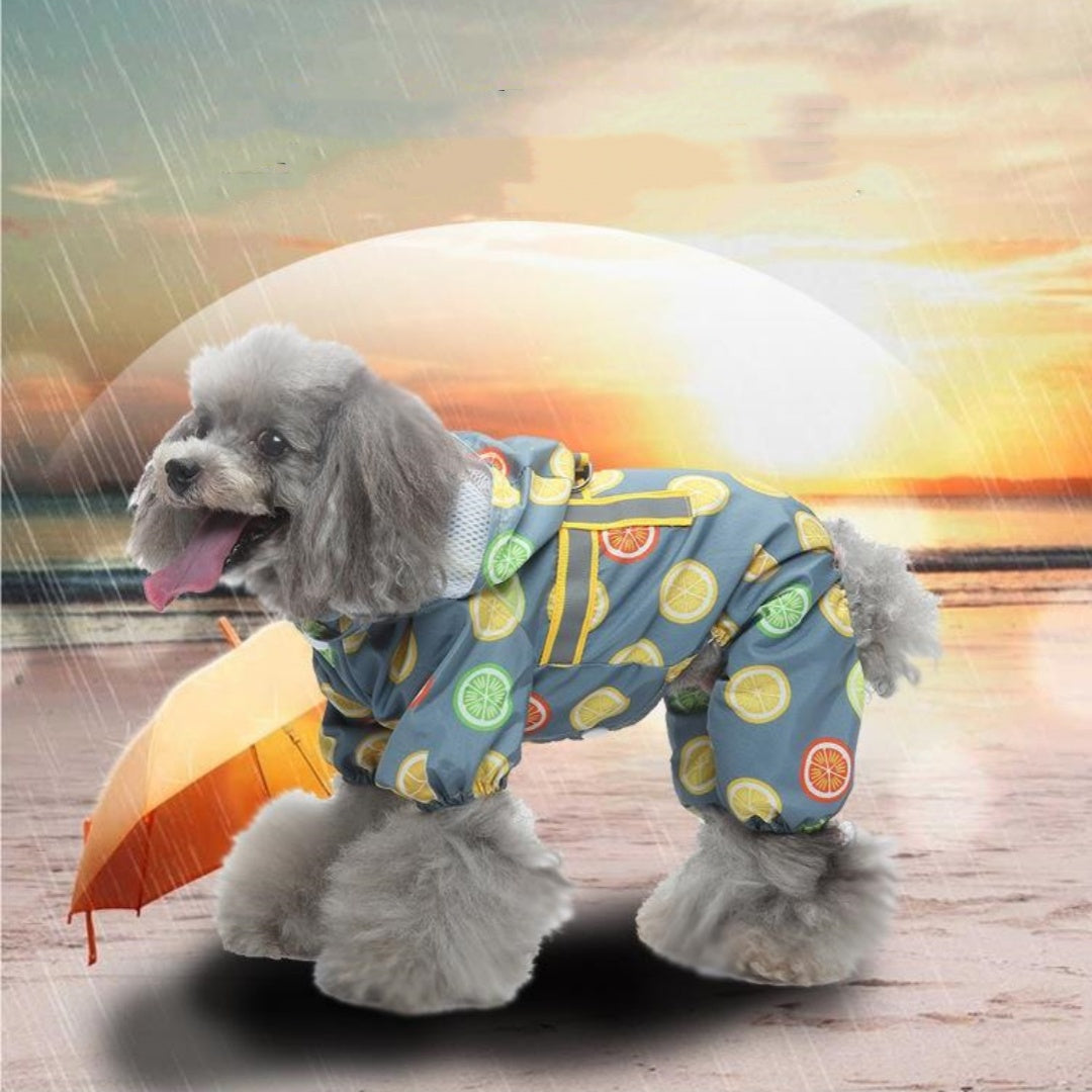 Pet Sound Dog Raincoat