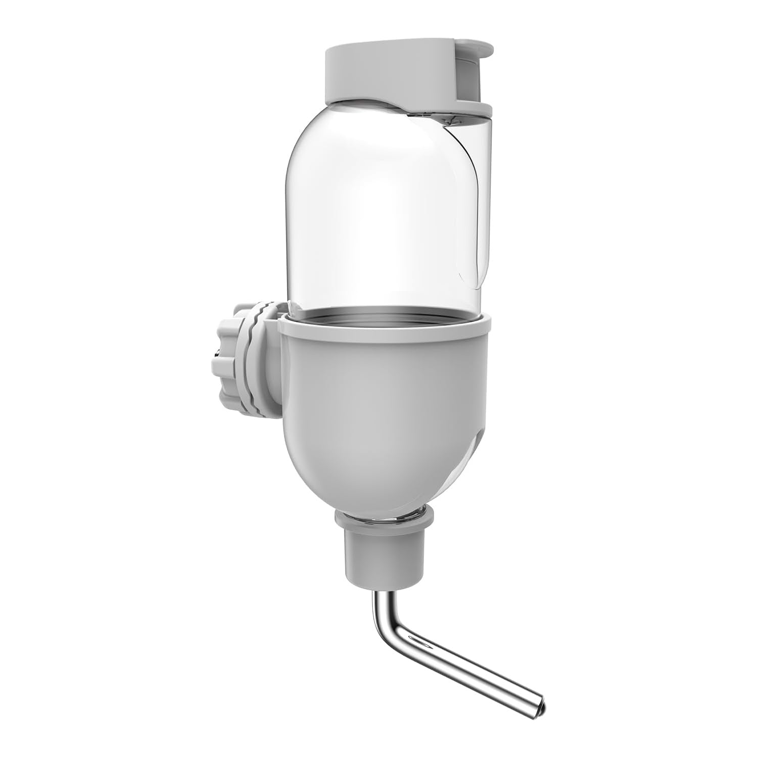 Rabbit Guinea Pig Chinchilla