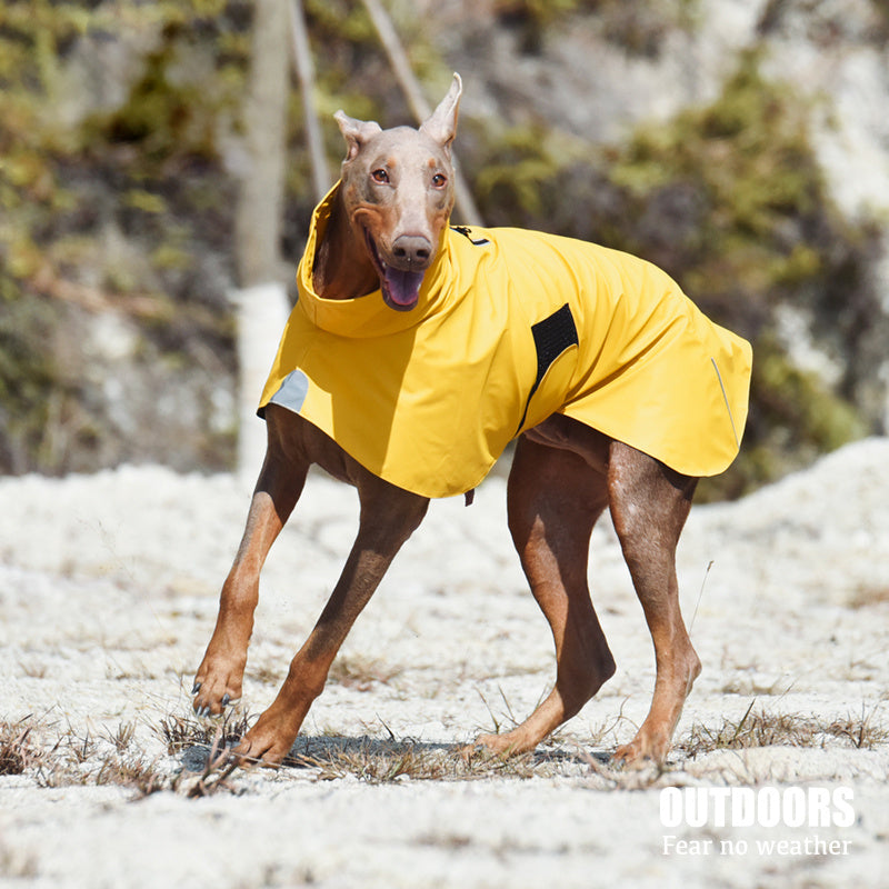 Pet Dog Windproof Raincoat