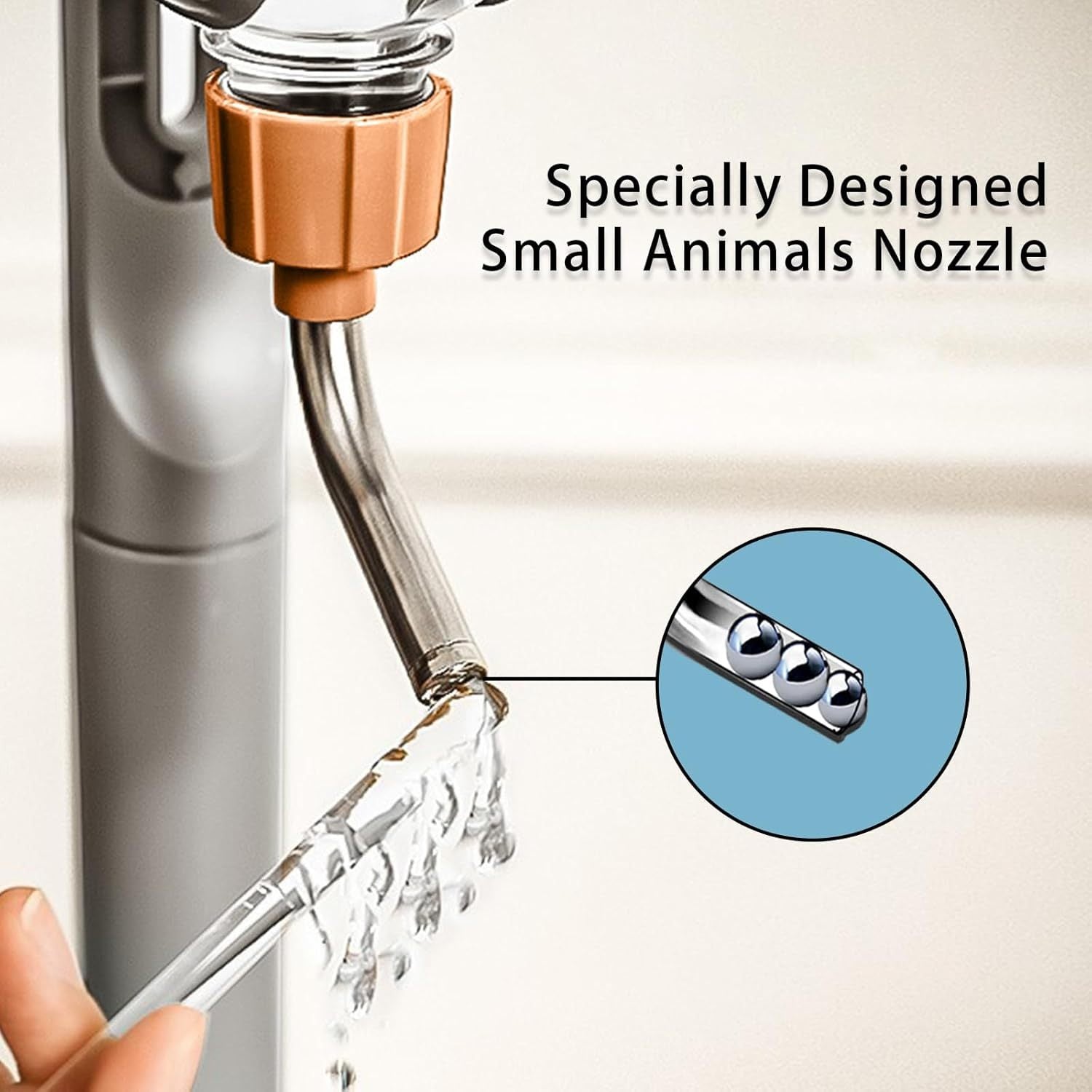 Rabbit Guinea Pig Chinchilla