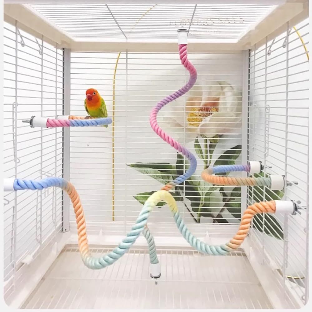 Gradient Colorful Bird Rope