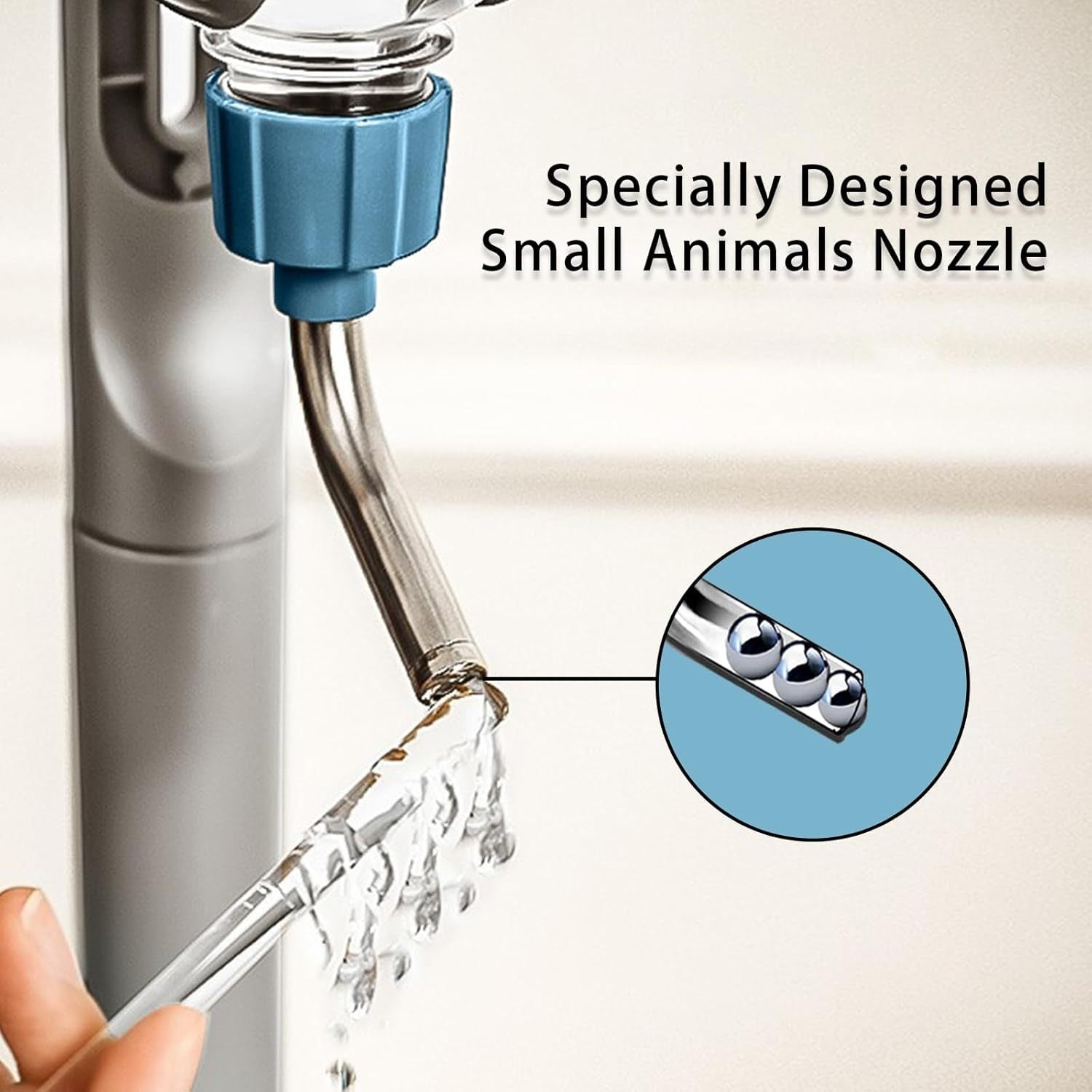 Rabbit Guinea Pig Chinchilla