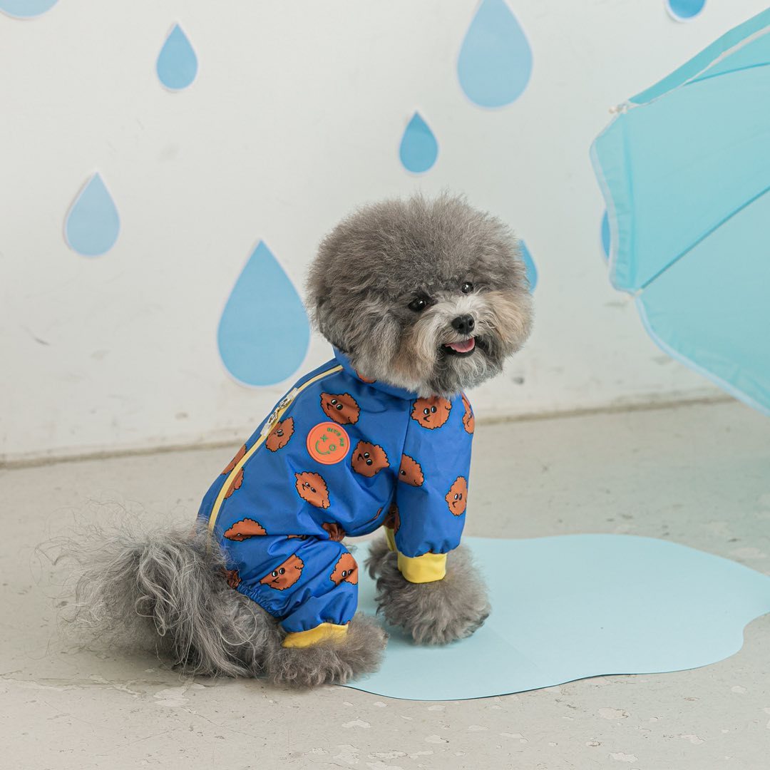 Fashion Pet Dog Waterproof Raincoat
