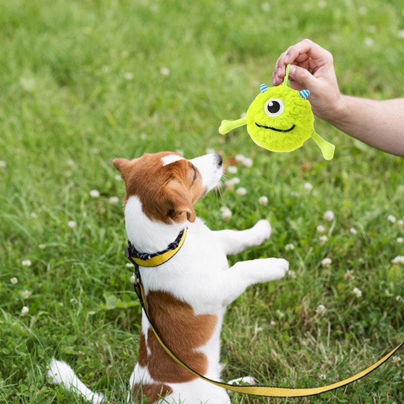 Dog Toys Interactive Teething Toy
