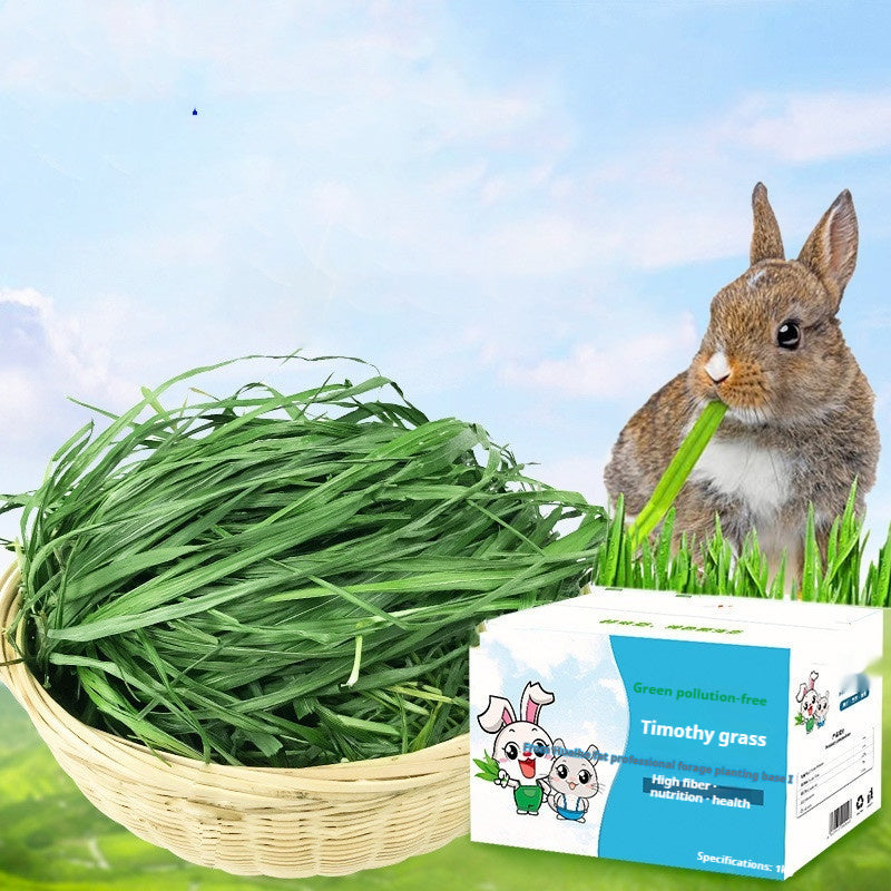 Pig Food Rabbits Pet Products