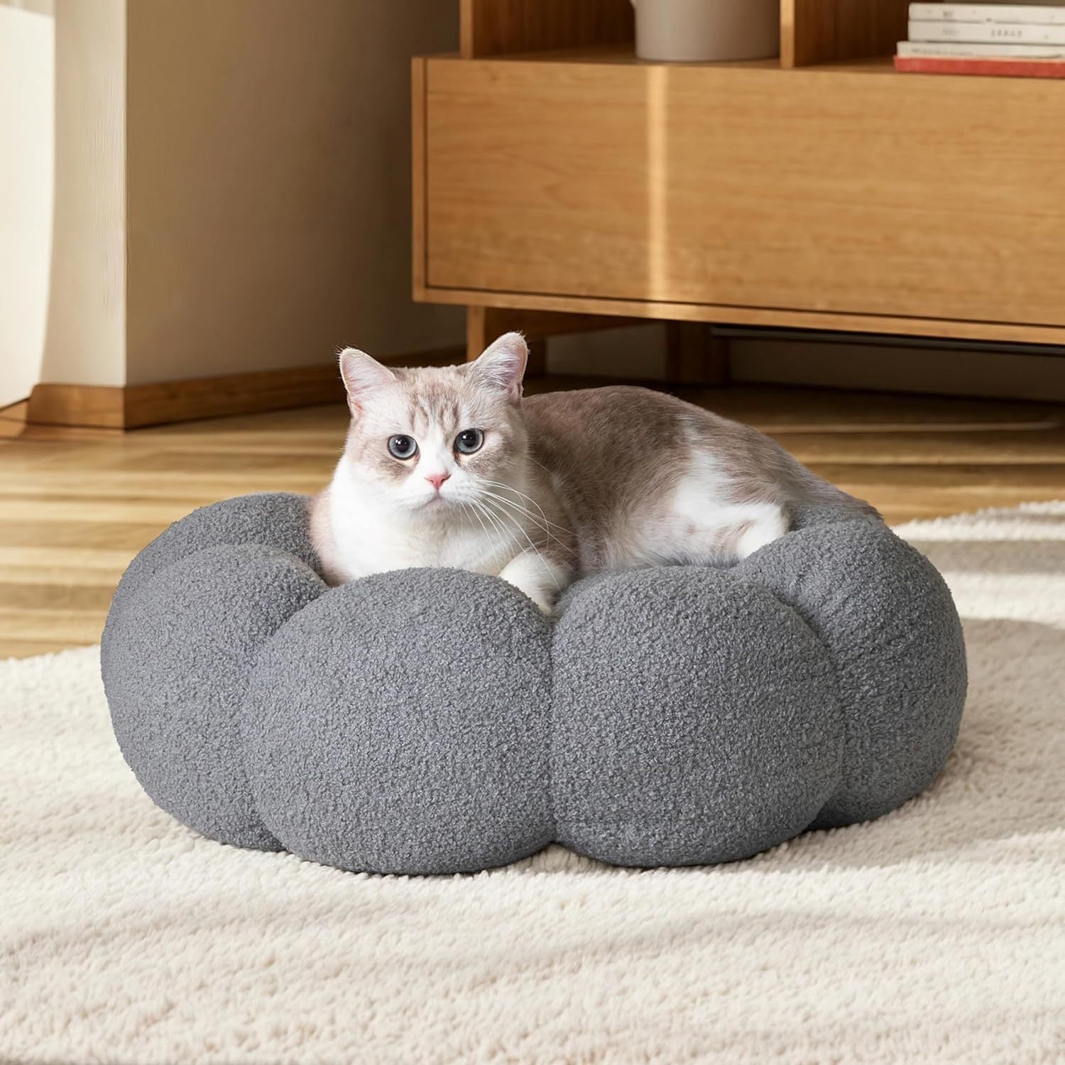 Cat Beds For Indoor Cats