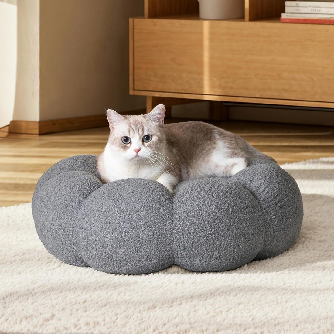 Cat Beds For Indoor Cats
